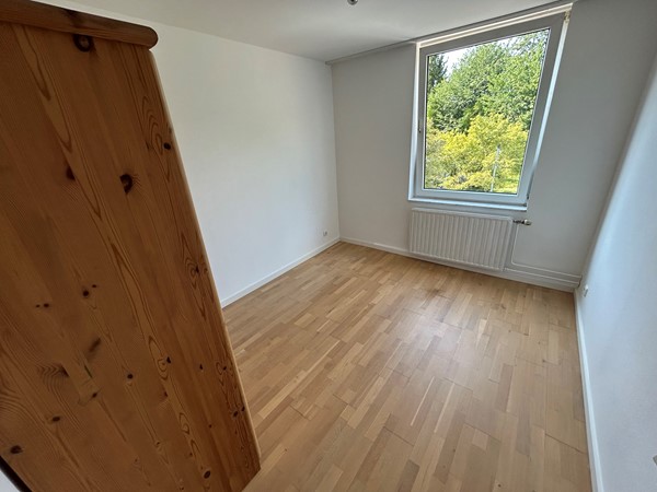 Elbereveldstraat 494019.JPG